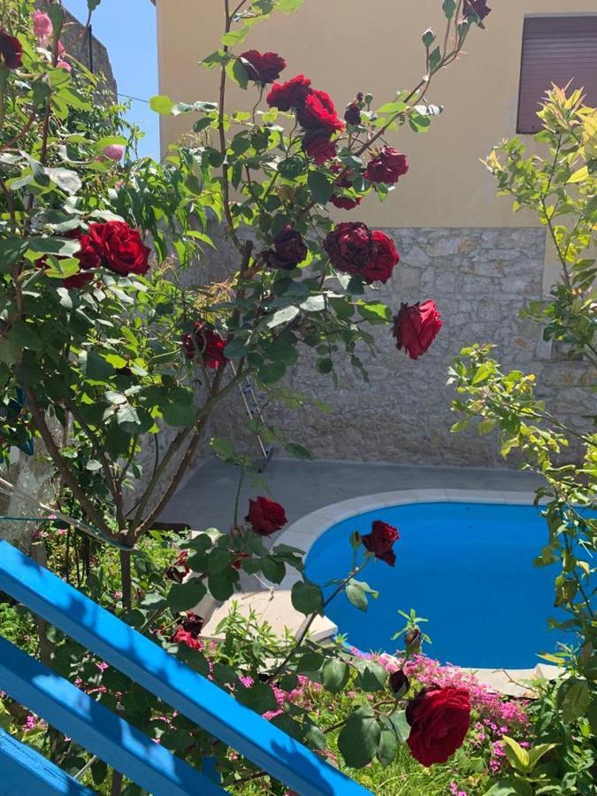 Dalmatian Rustic House Βίλα Petrcane Εξωτερικό φωτογραφία