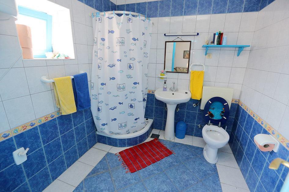 Dalmatian Rustic House Βίλα Petrcane Εξωτερικό φωτογραφία